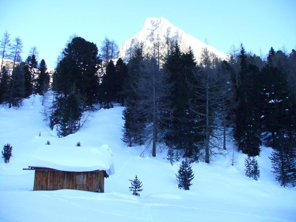 Hotel El Geiger Pozza di Fassa Eksteriør billede